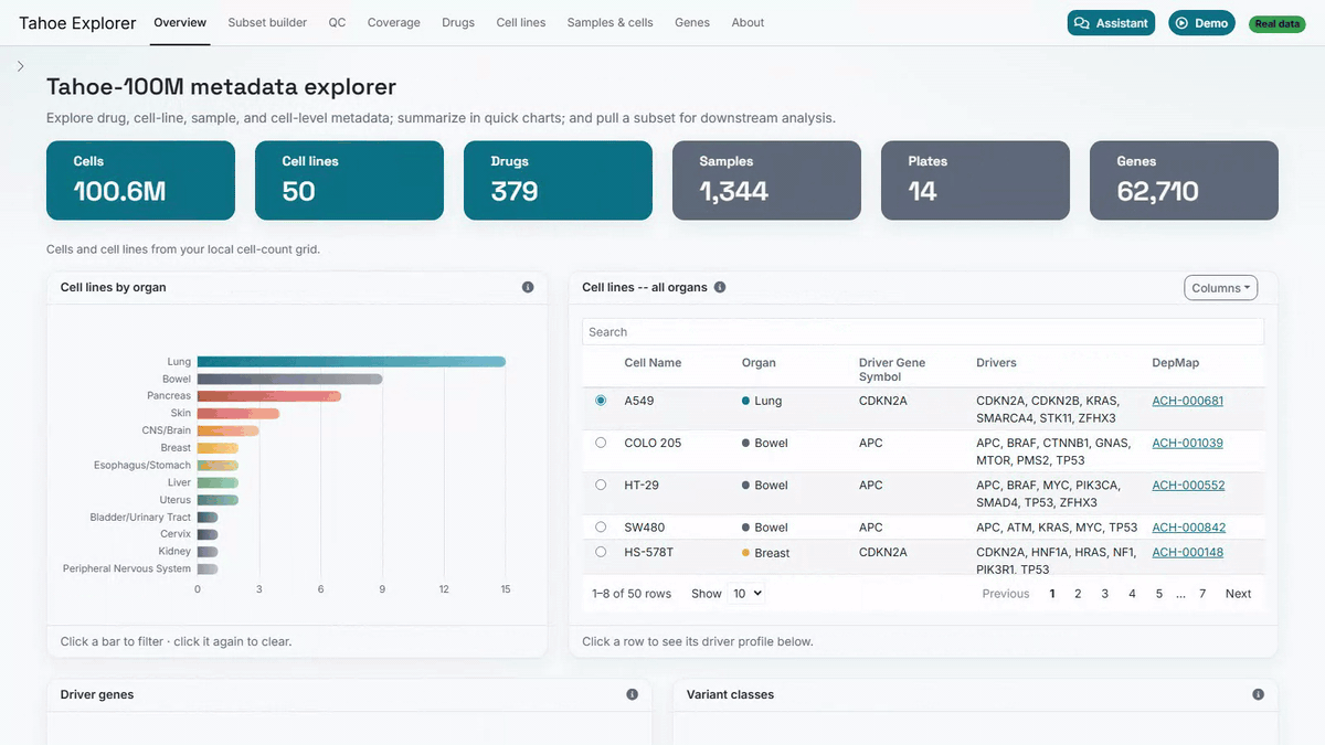 An animation of Tahoe Explorer. On the Overview tab, the tiles show 100.6M cells, 50 cell lines and 379 drugs, and clicking the Breast bar in the cell lines by organ chart filters the table to HS-578T and BT-474. The Coverage tab shows a heatmap of the cells profiled for each drug and cell line. On the Subset builder tab, the assistant panel opens and is asked to build a breast cancer subset. It replies that it selected Organ: Breast in the Subset builder, names BT-474 and HS-578T, estimates 3,094,027 cells across 1,344 samples, and writes R and Python code to pull them, while the tiles change to 3.1M cells and 2 cell lines.