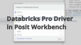 Databricks Pro Driver in Posit Workbench